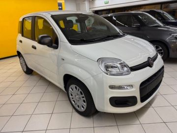 FIAT - Panda 1.0 FireFly S&S Hybrid (2 di 17)