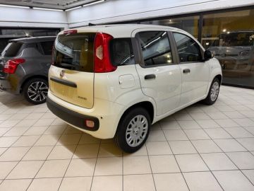 FIAT - Panda 1.0 FireFly S&S Hybrid (3 di 17)