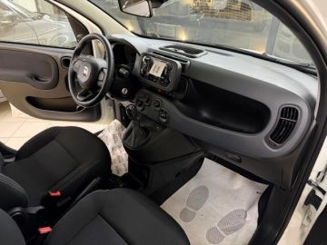 FIAT - Panda 1.0 FireFly S&S Hybrid (8 di 17)