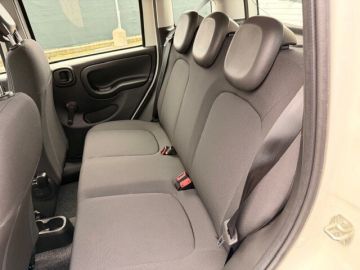 FIAT - Panda 1.0 FireFly S&S Hybrid (16 di 17)