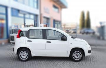 FIAT - Panda 1.2 Easy (3 di 16)