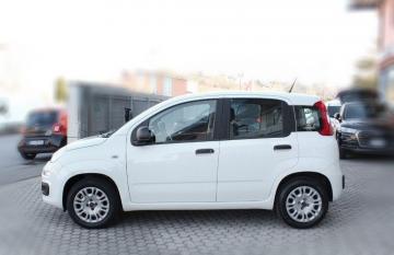 FIAT - Panda 1.2 Easy (4 di 16)