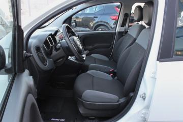 FIAT - Panda 1.2 Easy (7 di 16)