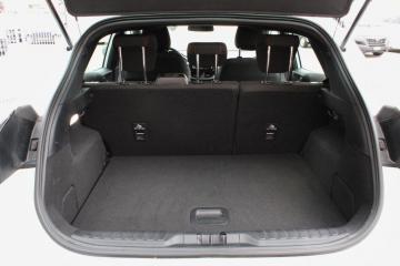 FORD - 1.0 EcoBoost Hybrid 125 CV S&S ST-Line (9 di 20)