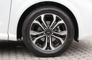 FORD - 1.0 EcoBoost Hybrid 125 CV S&S ST-Line (18 di 20)