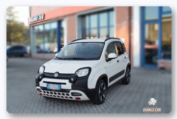 FIAT - Panda 1.0 FireFly S&S Hybrid City Cross (1 di 16)