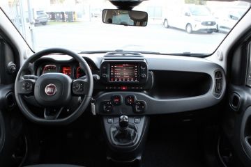 FIAT - Panda 1.0 FireFly S&S Hybrid City Cross (11 di 16)