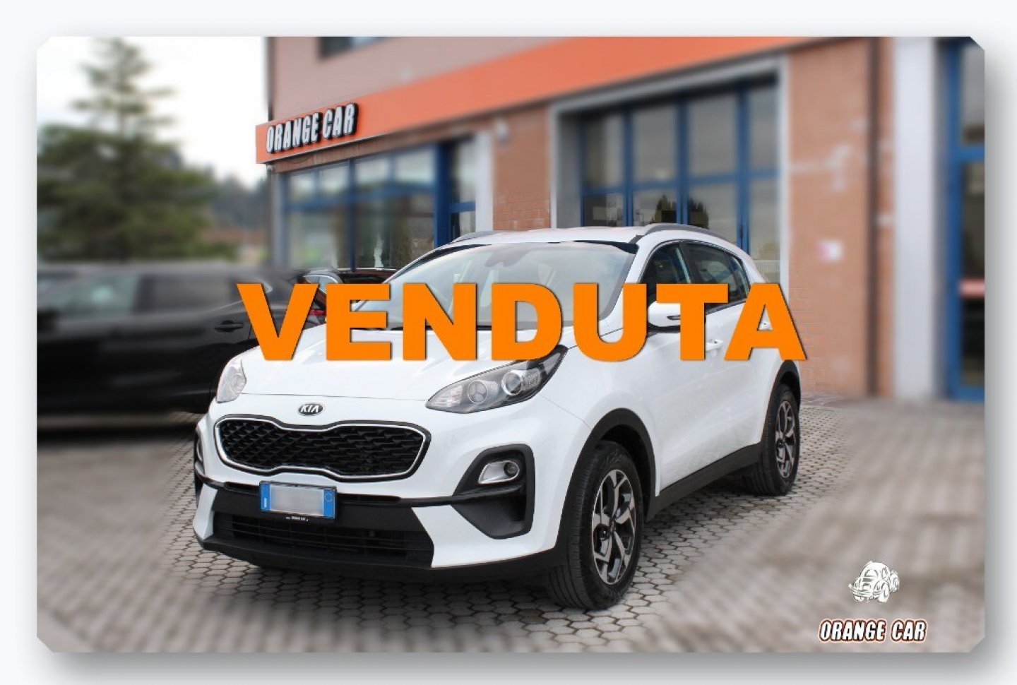 KIA - Sportage 1.6 CRDI 136 CV DCT7 2WD Mild Hybrid Business Class