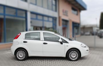 FIAT - Punto 1.4 8V 5p. Easypower Street (3 di 16)