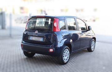 FIAT - Panda 1.2 Easy (6 di 15)