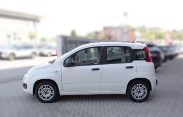 FIAT - Panda 1.2 Easy (4 di 15)