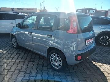 FIAT - Panda 1.2 Easy (7 di 7)