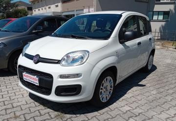 FIAT - Panda 1.2 Easy (6 di 7)