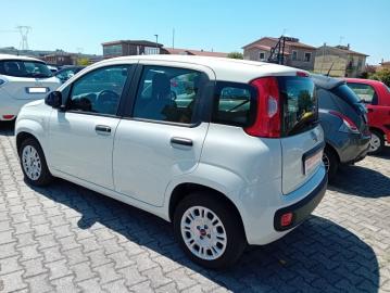 FIAT - 1.2 BENZINA 69CV  EASY  (2 di 7)