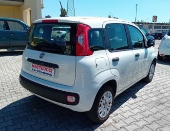 FIAT - 1.2 BENZINA 69CV  EASY  (7 di 7)