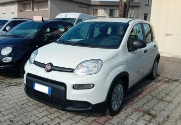 FIAT - 1.0 FireFly S&S Hybrid (6 di 7)