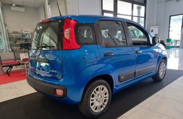 FIAT - Panda 1.0 FireFly S&S Hybrid (4 di 23)