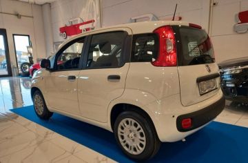 FIAT - Panda 1.0 FireFly S&S Hybrid (2 di 22)