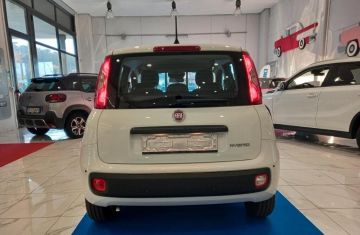 FIAT - Panda 1.0 FireFly S&S Hybrid (3 di 22)
