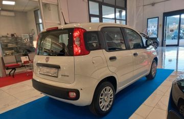 FIAT - Panda 1.0 FireFly S&S Hybrid (4 di 22)