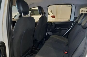 FIAT - Panda 1.0 FireFly S&S Hybrid (15 di 22)
