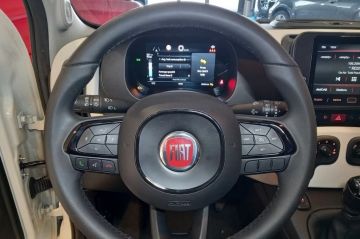 FIAT - Panda 1.0 FireFly S&S Hybrid (10 di 26)