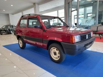 FIAT - Panda 1000 i.e. 4x4 Trekking (6 di 17)