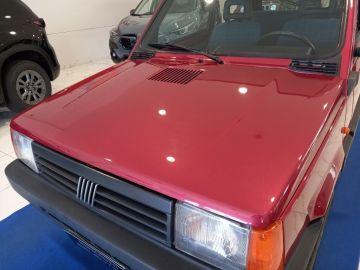 FIAT - Panda 1000 i.e. 4x4 Trekking (8 di 17)