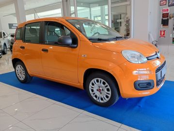 FIAT - Panda 1.2 Pop (7 di 24)
