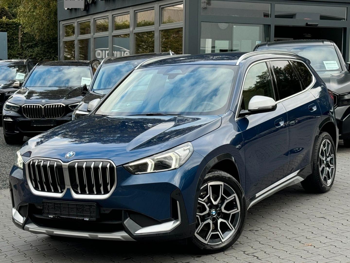 BMW X 1