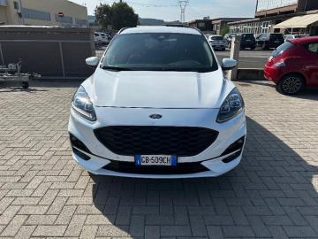 FORD - Kuga 2.5 Plug In Hybrid 225 CV CVT 2WD ST-Line X (2 di 14)