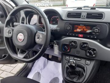 FIAT - Panda 1.0 FireFly S&S Hybrid City Life (15 di 17)