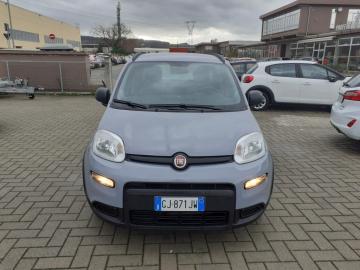 FIAT - Panda 1.0 FireFly S&S Hybrid City Life (2 di 19)