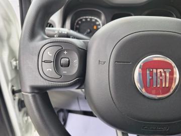 FIAT - Panda 1.2 EasyPower City Life (12 di 20)