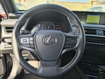 LEXUS - UX Hybrid Business (8 di 21)