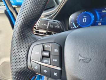 FORD - 1.0 EcoBoost Hybrid 125 CV S&S ST-Line (19 di 25)