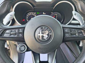 ALFA ROMEO - Stelvio 2.2 Turbodiesel 210 CV AT8 Q4 Veloce (19 di 26)