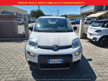FIAT - Panda 0.9 TwinAir Turbo S&S 4x4 (2 di 20)