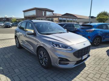 FORD - Kuga 2.0 EcoBlue 120 CV aut. 2WD ST-Line (3 di 24)