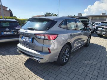 FORD - Kuga 2.0 EcoBlue 120 CV aut. 2WD ST-Line (5 di 24)