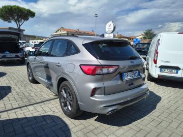 FORD - Kuga 2.0 EcoBlue 120 CV aut. 2WD ST-Line (6 di 24)