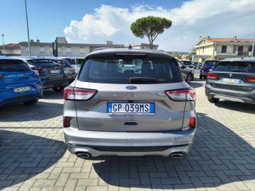 FORD - Kuga 2.0 EcoBlue 120 CV aut. 2WD ST-Line (21 di 24)