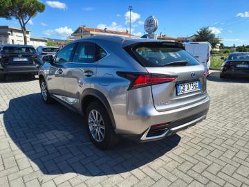 LEXUS - NX Hybrid Business (6 di 25)