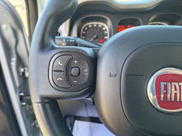 FIAT - Panda 1.0 FireFly S&S Hybrid City Life (10 di 18) FIAT - Panda 1.0 FireFly S&S Hybrid City Life (10 di 18)