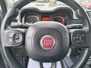 FIAT - Panda 1.0 FireFly S&S Hybrid City Life (7 di 17)