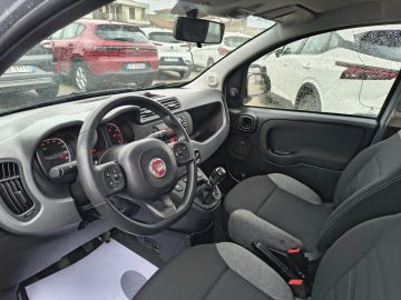 FIAT - Panda 1.0 FireFly S&S Hybrid City Life (15 di 17)