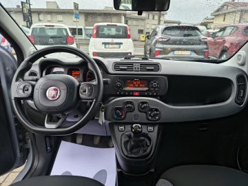 FIAT - Panda 1.0 FireFly S&S Hybrid City Life (16 di 17)