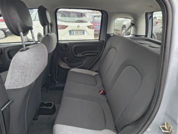 FIAT - Panda 1.0 FireFly S&S Hybrid City Life (17 di 17)