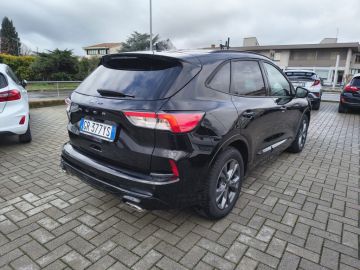 FORD - Kuga 2.0 EcoBlue 120 CV aut. 2WD ST-Line (4 di 22)