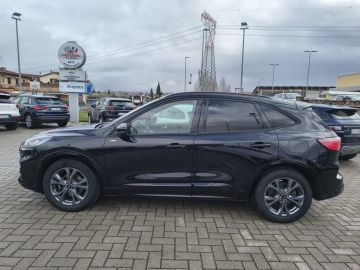 FORD - Kuga 2.0 EcoBlue 120 CV aut. 2WD ST-Line (6 di 22)